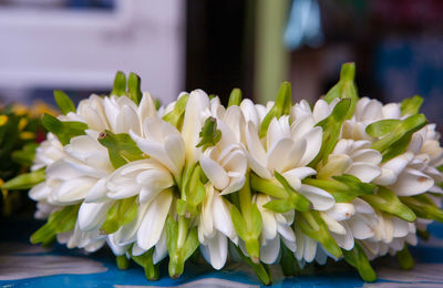 Close-up of white flowers on table