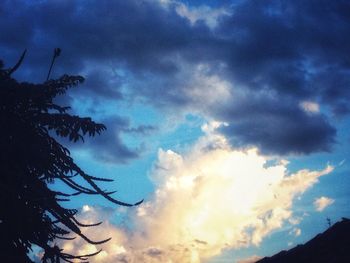 Low angle view of silhouette tree against dramatic sky