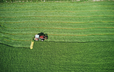 Working tractor plowing on bright green field