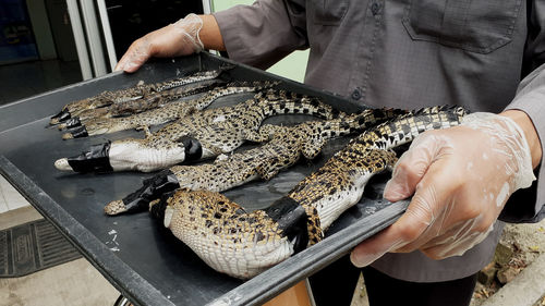 Midsection of person preparing food on table
