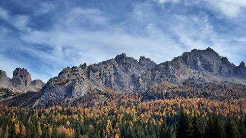 Panoramic view of trees and mountains against sky