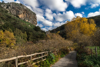 Footpath amidst trees against sky during autumn