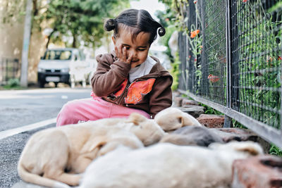 Cute girl looking at puppies on roadside