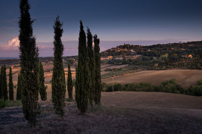 Panoramic shot of trees on landscape against sky