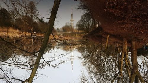 Close-up of bird in water against sky at sunset