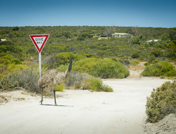 Road sign in a field