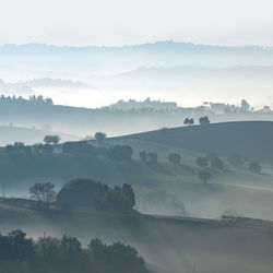 Scenic view of landscape against sky during foggy weather