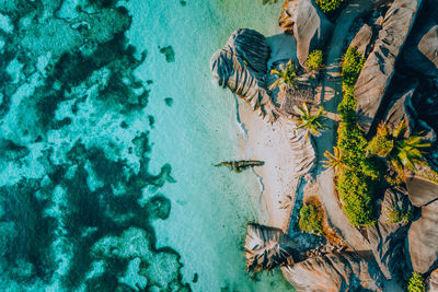 High angle view of people swimming in sea