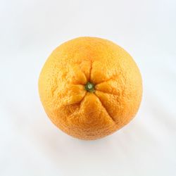 Close-up of food on white background