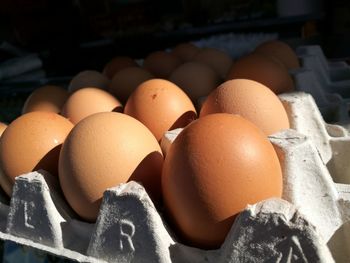 Close-up of eggs