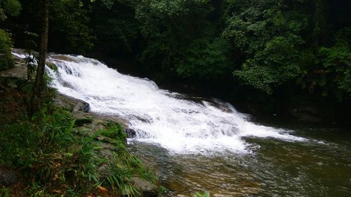 Scenic view of waterfall in forest