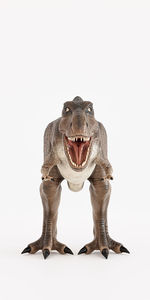animal