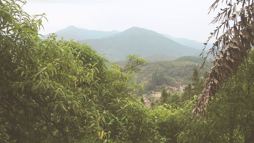 Scenic view of landscape against clear sky