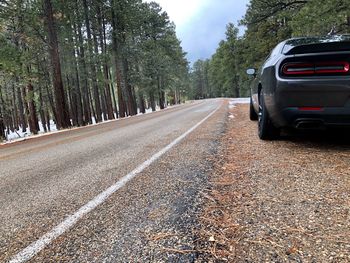 Cars on road amidst trees