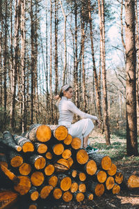 Stack of logs in forest