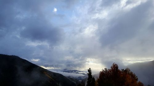 Scenic view of forest against sky