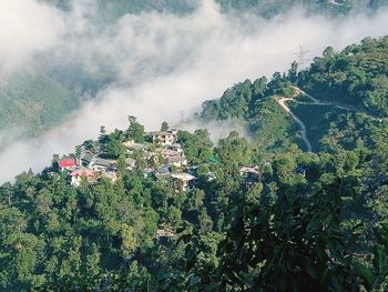 High angle view of trees and plants against buildings