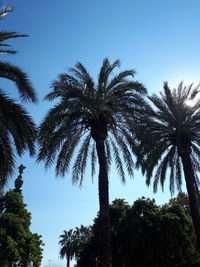 Low angle view of palm trees against clear blue sky