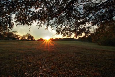 Scenic view of grassy field against sky at sunset