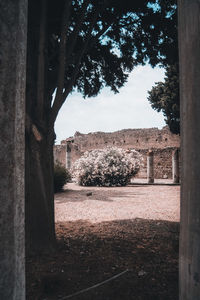 View of old ruin building