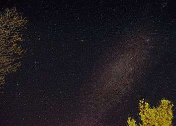 Low angle view of star field against sky at night