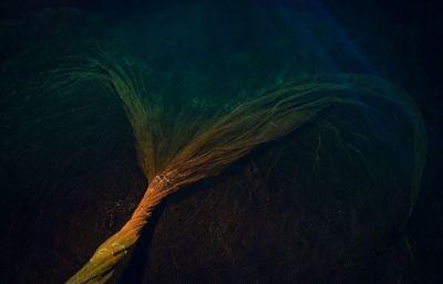 Full frame shot of fishing net in sea