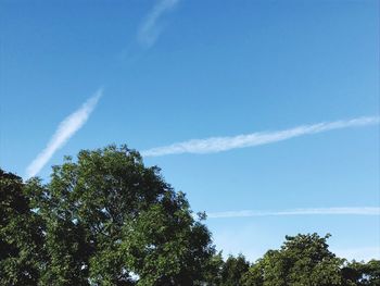 Low angle view of vapor trail against blue sky