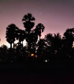 Low angle view of silhouette trees against sky at sunset