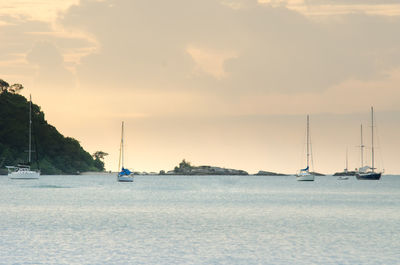 Sailboats sailing in sea against sky