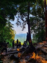 People on rocks by trees in forest