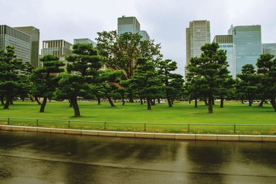 Trees and park in city against sky