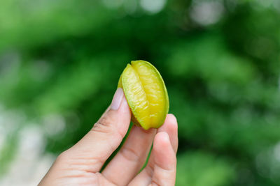 Close-up of hand holding fruit