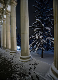Snow covered landscape