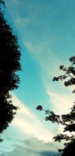 Low angle view of silhouette tree against sky