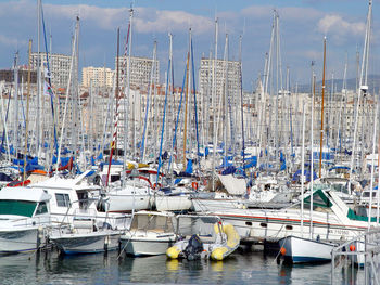 Sailboats moored in harbor against sky