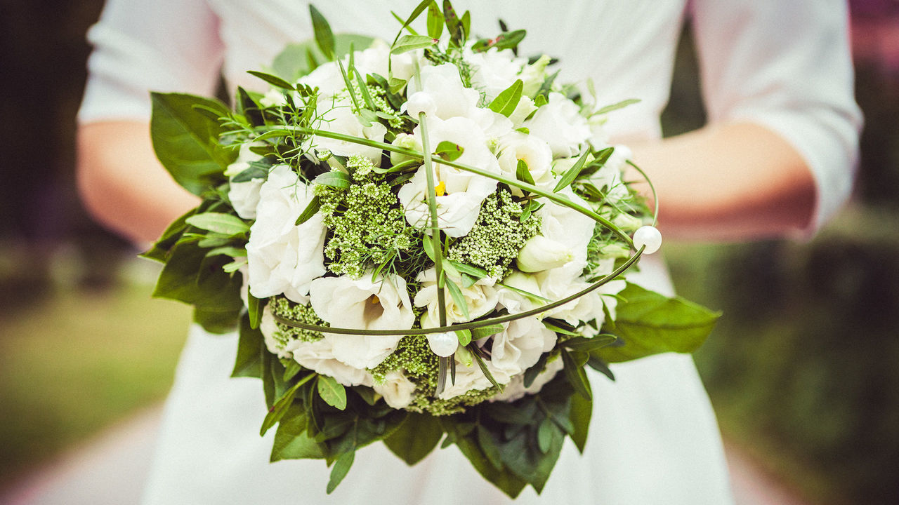 flower, leaf, freshness, white color, close-up, focus on foreground, growth, plant, fragility, one person, petal, nature, beauty in nature, person, indoors, flower head, holding, green color, selective focus, botany