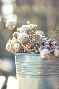 Close-up of flowers in container