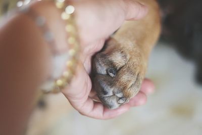 Midsection of person holding dog outdoors