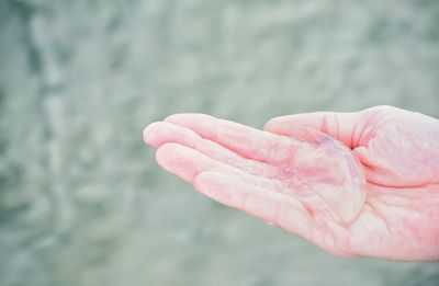 Close-up of hand on leaf