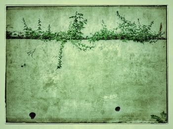 Close-up of weathered wall