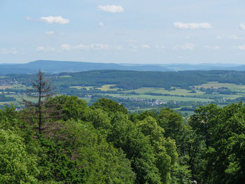 Scenic view of forest against sky