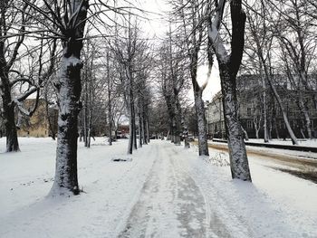 Snow covered road amidst trees during winter