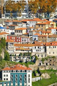 Buildings in town - porto