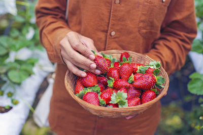 Midsection of man holding strawberries in basket