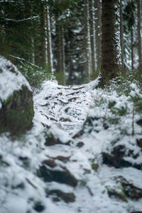 Scenic view of snow covered land