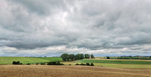 Scenic view of agricultural field against sky