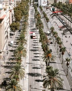 High angle view of road amidst trees in city