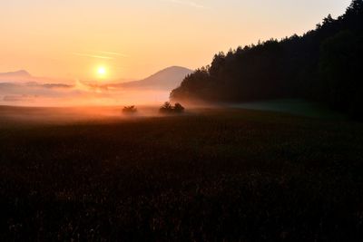 Scenic view of field against sky during sunset