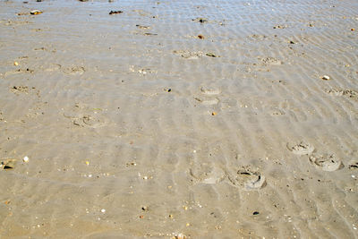 Full frame shot of wet sand