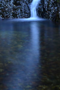 Scenic view of waterfall in forest